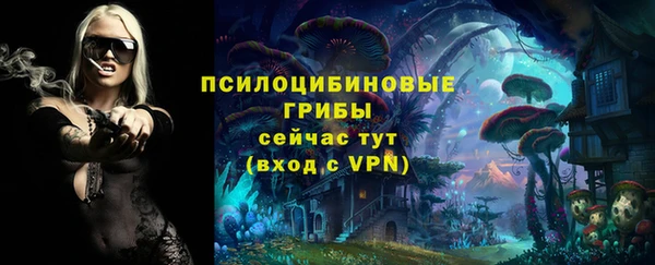 хмурый Бронницы